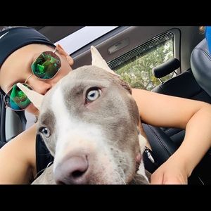 Meet your Posher, Wendy